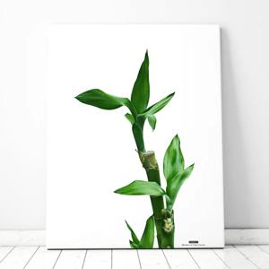 대나무 No2 북유럽풍 인테리어 식물액자