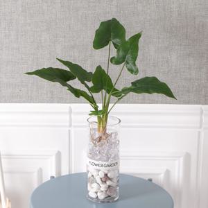 푸른안시리움크리스탈화병set 55cm R(DIY)