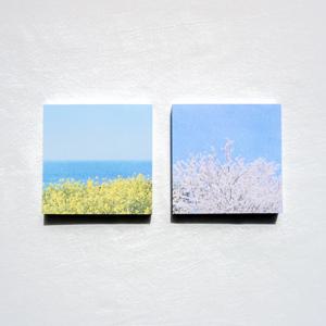 봄꽃 떡메모지 2종