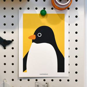 Graduation Photo 졸업사진 펭귄 동물 엽서