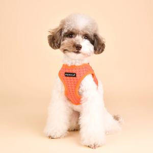 강아지 가슴줄 네온도트 하네스 애견 하네스 B 2colors
