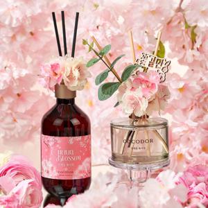 1+1 벚꽃 디퓨저 200ml + 대용량 500ml (봄꽃 퍼퓸 오드리의오후 데코 방향제)