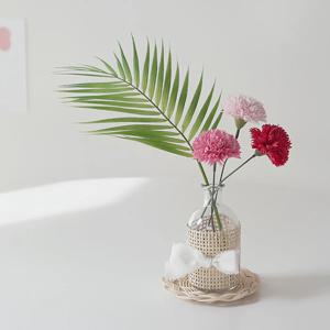 가정의달 카네이션 & 라탄 케인 유리병 SET