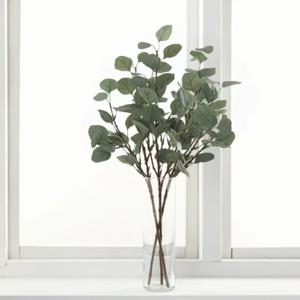 SMYCKA 스뮈카 인조나뭇잎 유칼립투스 65cm