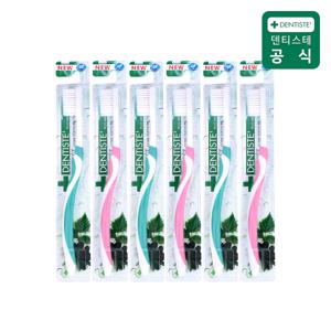 이중모칫솔 6개