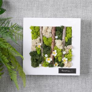 스칸디아모스 공기정화식물 액자 숲속의 물망초 조화 20cm 인테리어