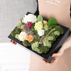 스칸디아모스 공기정화식물 액자 네이처 30cm 인테리어 천연