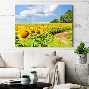 황금 해바라기 사진 그림 캔버스 액자 No35