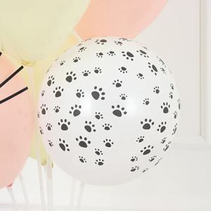발자국 풍선 강아지 고양이 생일파티