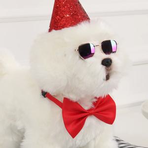 강아지 나비 넥타이 고양이 보타이 리본
