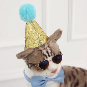 강아지 고깔 모자 고양이 꼬깔 생일파티
