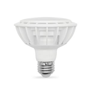 LED 전구 PAR30F 15W 확산형_2colors