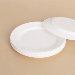 10p 롯데 이라이프 다회용 접시(15cm)