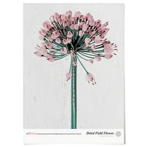 Field flower D F363 패브릭 포스터 보타니컬 꽃 식물 그림 포인트 액자