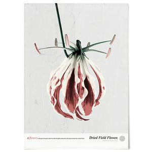 Field flower E F364 패브릭 포스터 꽃 식물 그림 포인트 거실 복도 액자