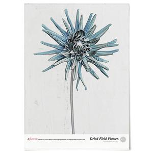 Field flower F F365 패브릭 포스터 꽃 식물 그림 포인트 행잉 천 액자
