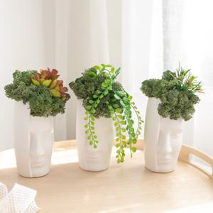 스칸디아모스 공기정화식물 화병 플랜트 set 20cm 3컬러 인테리어