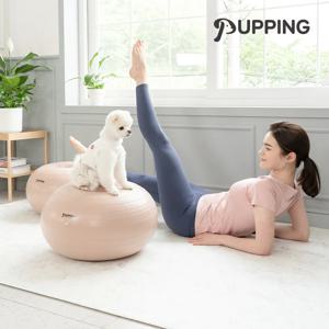 강아지짐볼 슬개골탈구예방 운동기구