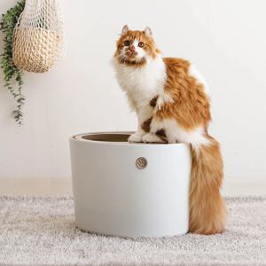 사막화방지 탑도어 고양이 화장실 대형 화이트