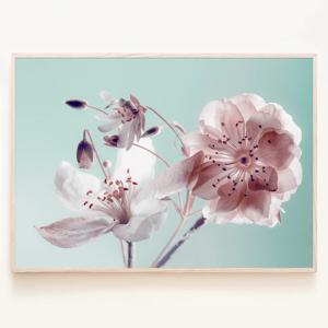 가까이 보아도 아름다운 작은 꽃