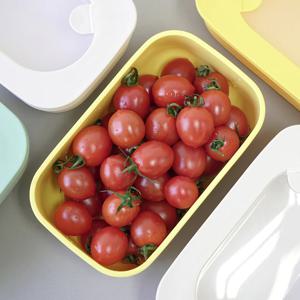 스토어앤모어 밀폐용기 직사각 (5colors)