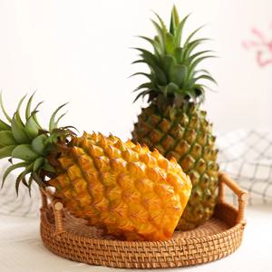파인애플 모형 1P (26cm) - 묵직해요!