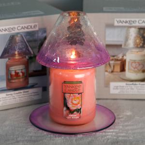 라지자+자쉐이드 캔들트레이 세트 14가지 향