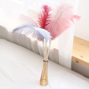 천연 타조 깃털 인테리어 디퓨저 스틱 8colors