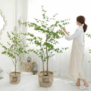 [5% 쿠폰!] 메이플 홈 카페 인조 엔카이셔스 조화 나무 3size