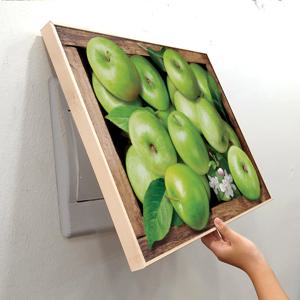 풍수 돈 들어오는 그림 푸른 사과 꽃 두꺼비집 액자 배전함 가리개