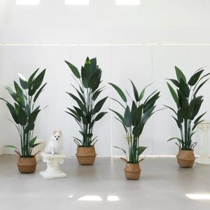 리얼퀄리티 핸드메이드 여인초 조화나무 4sizes