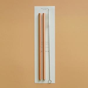 1+1 항균 구리 빨대 (총 2P)+세척 솔 증정