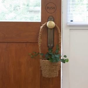 하트아이비_행잉바구니 행잉플랜트