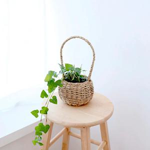 하트아이비_왕골 바구니 행잉플랜트