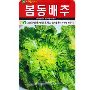아람 봄동배추씨앗 5000립 월동재배