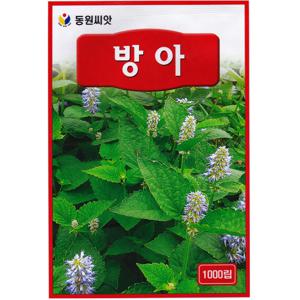 방아씨앗 1000립 방아잎 종자