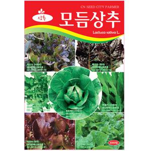 모듬상추 씨앗 3000립 모둠 혼합상추