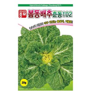 춘동 봄동배추씨앗 20g 월동 재배