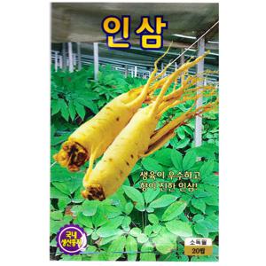 인삼씨앗 20립