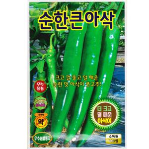 순한큰 아삭이 고추씨앗 100립