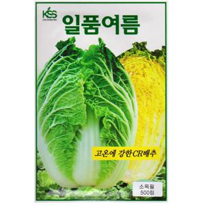 일품 여름배추씨앗 500립