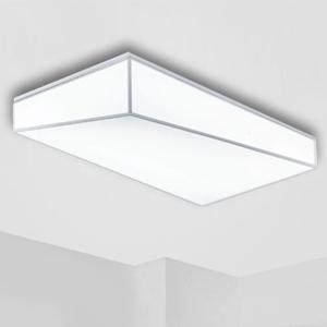 쓰리디 아트솔 거실등 2등 LED 60W