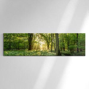 감성 인테리어 파노라마 캔버스 액자 _ 파노라마 숲속