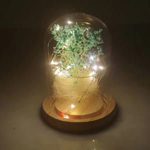드라이플라워 무드등 인테리어 LED 동심
