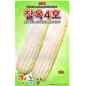 옥수수씨앗 찰옥4호 700g 찰옥수수 종자