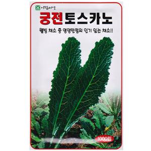 잎브로콜리 씨앗 토스카노 1000립 브로콜리 종자 케일
