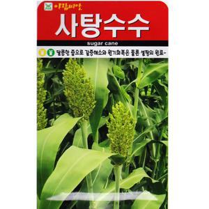 사탕수수 씨앗 30립 토종 재래종 단수수 종자