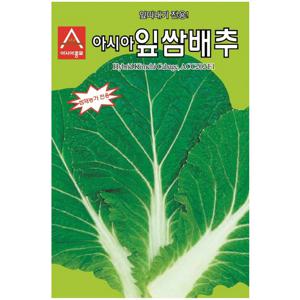 잎쌈배추 씨앗 500립 잎따내기 쌈배추 종자