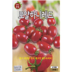 로얄하니 레드 대추방울토마토 씨앗 20립 방울토마토 키우기