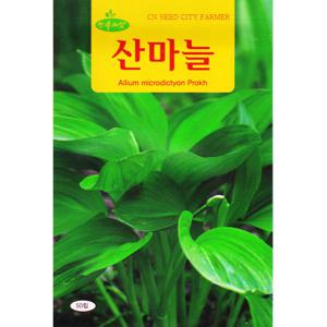 청농 산마늘 씨앗 50립 명이나물 종자